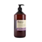 Insight Shampoo Damaged Hair Reestructurante 353550