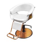Sileti Silla de Peluquería de Acero Dorado ST-1016