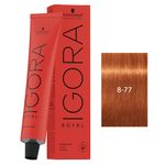 Igora Schwarzkopf Igora Tinte 60ml 8.77 8502